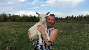 СВОБОДНЫЙ ВЫГУЛ КОЗ