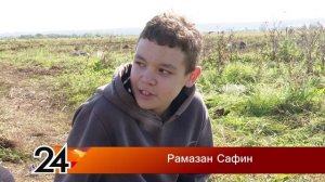 В Мамадышском районе продолжается уборка картофеля
