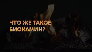 Все что нужно знать о биокаминах | SappFire - Биокамины от производителя | ibiokamin.ru