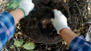 Едем в лес забирать большую находку.