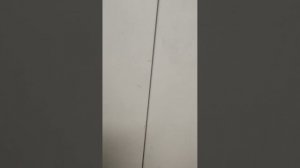 WhatsApp Video 2025-09-12 at 17.29.24