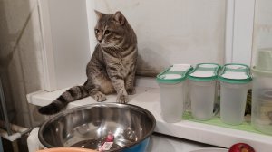 живу счастливо в деревне