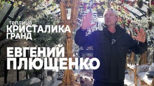 Отзыв Евгения Плющенко о двух теплицах КРИСТАЛИКА производства компании GLASS HOUSE (ГЛАСС ХАУС)