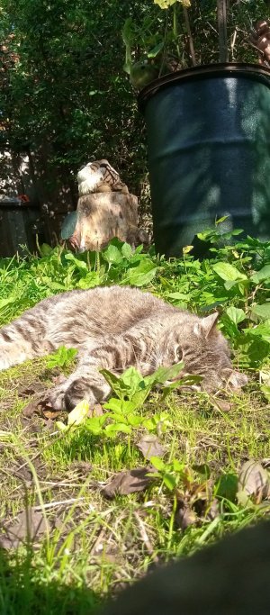 делаю уборку