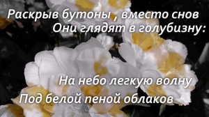 Так раскрываются цветы...