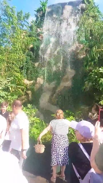 Растения на Манежной  #shorts_video #flowers #msk