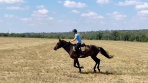 Вперед по полю!