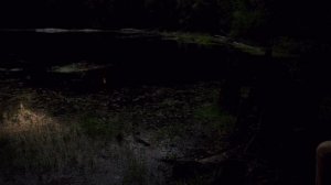 ночь Ивана купала