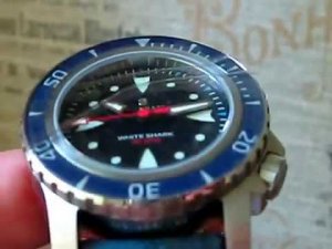 Steinhart White Shark
