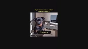 Улыбнитесь! Самые смешные моменты, которые поднимут настроение! 🤭