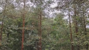 Простой сотрудник должен быть всегда финансово зависимым. Он удобен руководству