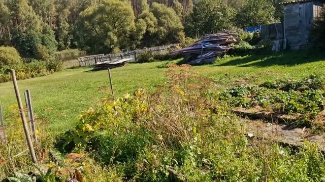 СОБРАЛИ ПОМИДОРОК И ОГУРЧИКОВ НА ОБЕД И НА ЭТОМ, НА СЕГОДНЯ ХВАТИТ.