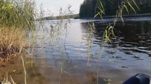 о.Телячий. Барышево. Вуокса.