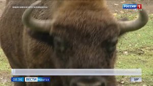 8.35 – Вести утро от 12.09.2025г.