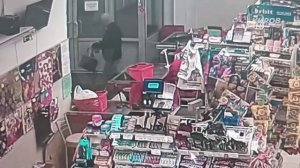 Похититель копчённых рёбрышек