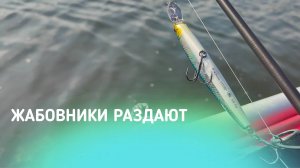 НАРОДНАЯ РЫБАЛКА ПО ЖАБОВНИКАМ. ОСЕНЬ НА ЖАБОВНИКАХ МНОГО ЩУКИ!!!