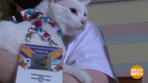 Большой спорт и маленькие победы животных-предсказателей. Доброе утро. Фрагмент выпуска от 12.09....