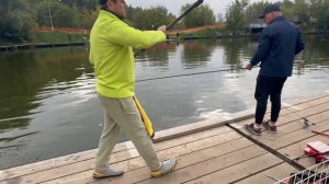 На пасту.Форель