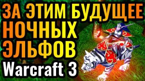 Warcraft 3 Reforged. ШЕДЕВР с ЖРИЦЕЙ ЛУНЫ_ За этим героем - БУДУЩЕЕ Эльфов в Warcraft 3 Reforged