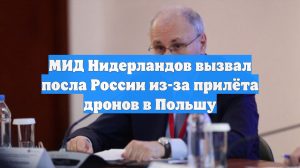 МИД Нидерландов вызвал посла России из-за прилёта дронов в Польшу