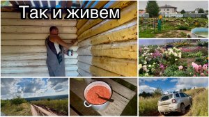 Занимаемся  баней. Выложили кирпич под печку. Занимаюсь огородом