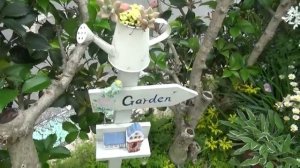 1🌿☘️☘️🌿