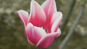 01=04=2025  ник   (104)   ЕЕ