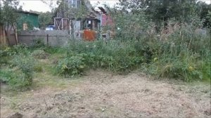 31-2017 Что новенького_ _ Elena Pero