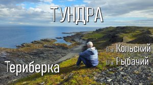 Тундра: с нами случилась осень!