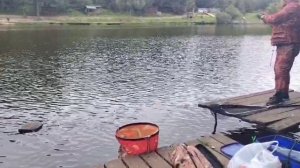 На пасту