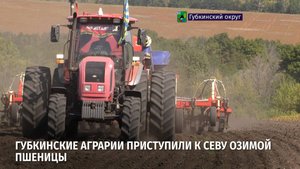 Губкинские аграрии приступили к севу озимой пшеницы