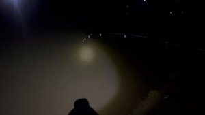 Ночной осетр - долгое вываживание