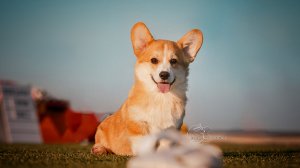 мальчик, 4м, кюКола+Джастин