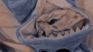 Рум турчик по дому Каваи 😊☺ делала 36 минут 😰