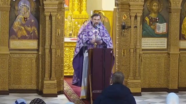 Исцеление расслабленного. Проповедь протоиерея Димитрия Сизоненко смотреть онлайн