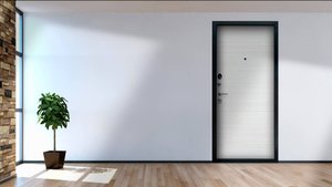 Дверь с зеркалом Next 1 завода АСД. Видеообзор