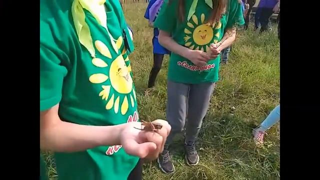 3 смена ДОЛ «Солнышко» 2021 г., отряды «Ястребы» и «Смайлики» смотреть онлайн