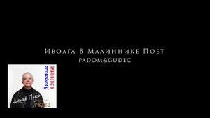 Иволга в малиннике поет. Дворовая.