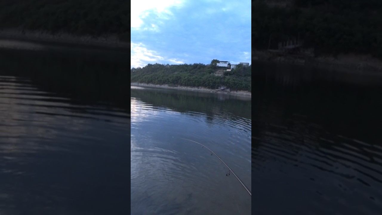 200 грамм рыбы + полкило салата #рыбалка #спиннинг #shorts смотреть онлайн