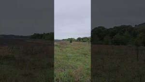 МОТОПОКАТУШКИ ПО ЧЕМБАРСКОМУ РАЙОНУ. ( ХОЛМЫ)