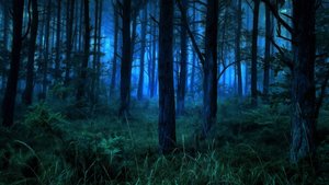 Isma - Percussions (Hardtechno) (DSouL House Club) - @La Selva forest -  Part 2