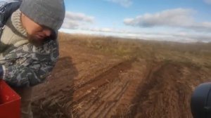 МЕХАНИЗИРОВАННАЯ ПОСАДКА ОЗИМОГО ЧЕСНОКА