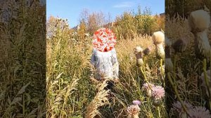 Девушка в поле запела на арабском