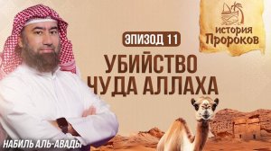 Убийство Верблюдицы Аллаха| История Пророков 11 | Шейх Набиль аль-Авады