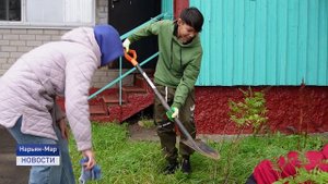 ОЗЕЛЕНЕНИЕ ТЕРРИТОРИИ "НАШЕГО ДОМА"