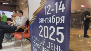 Около миллиона российских избирателей уже проголосовали дистанционно / События на ТВЦ