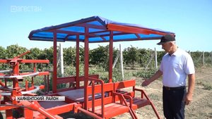 Изобретения дагестанского Кулибина помогают виноградарям повысить урожайность