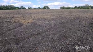 МОНЕТЫ ПЕТРА 1го