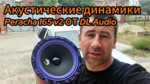 Обзор акустических динамиков Piranha 165 v2 от DL Audio для Lada Priora