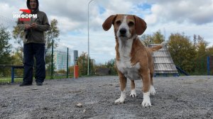 Ответственное содержание домашних питомцев